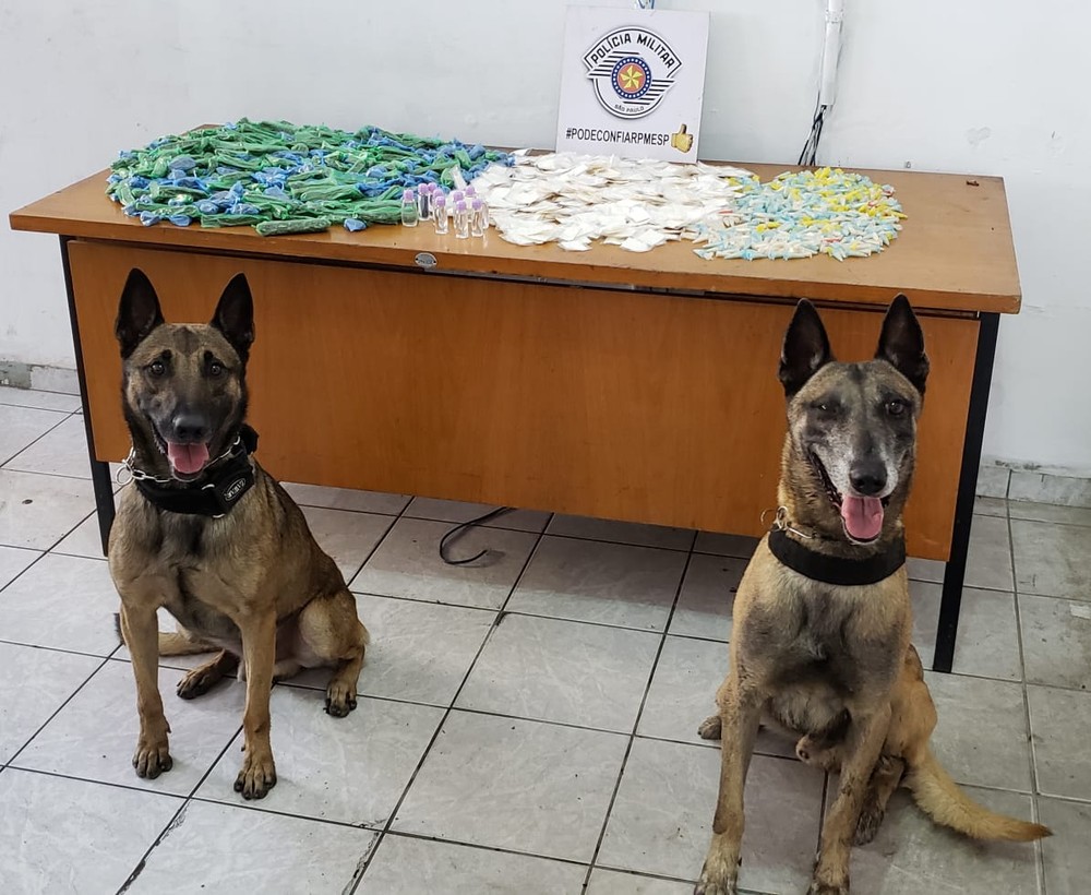 Mais de 3 quilos de drogas são encontrados por cães policiais da PM de Suzano  