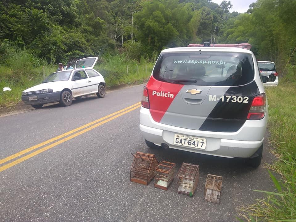 PM de Guararema recupera aves capturadas ilegalmente