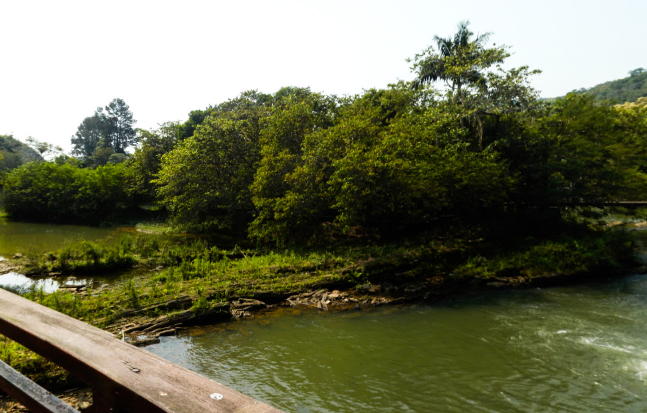 Período de piracema acontece no Rio Paraíba do Sul e proíbe algumas modalidades de pesca