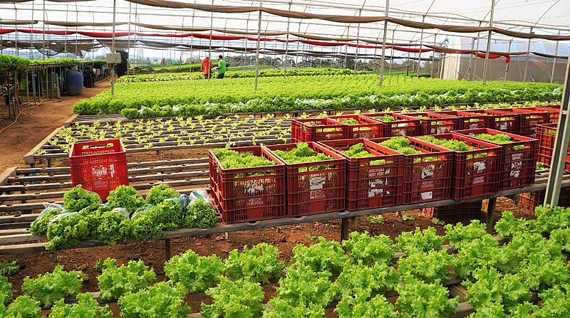 Guararema abrirá inscrições para o curso Jovem Agricultor do Futuro