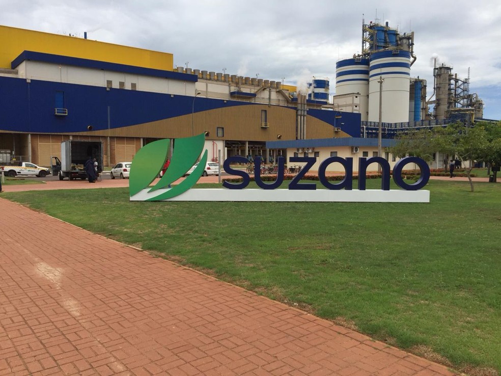Companhia Suzano abre inscrições para Programa de Estágio 2022