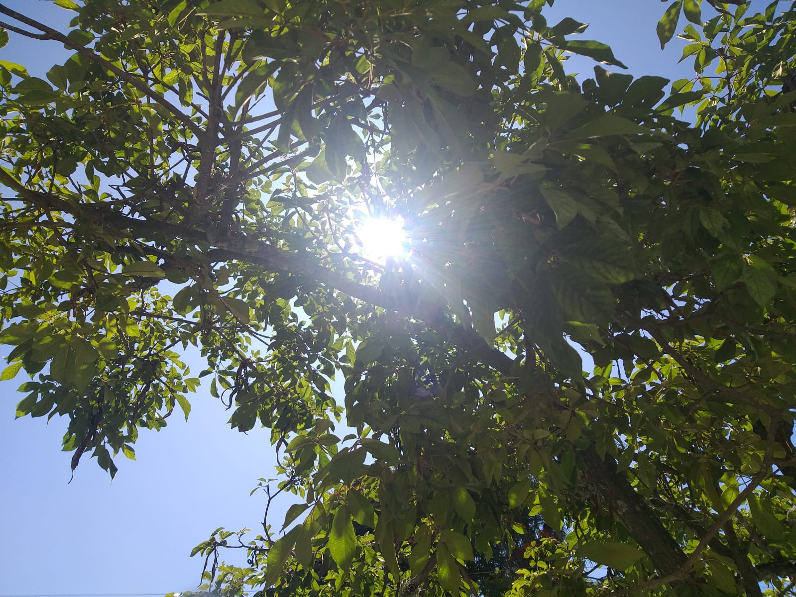 Sol, calor e chuva: confira previsão do tempo para esta semana