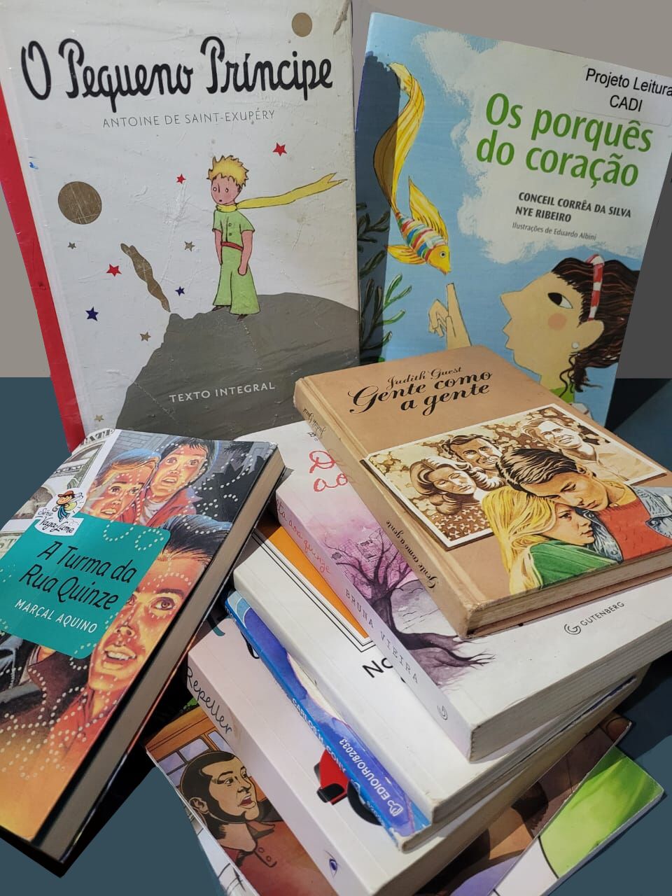 Cultura abre credenciamento para comercialização de livros na Festa Literária de Mogi das Cruzes
