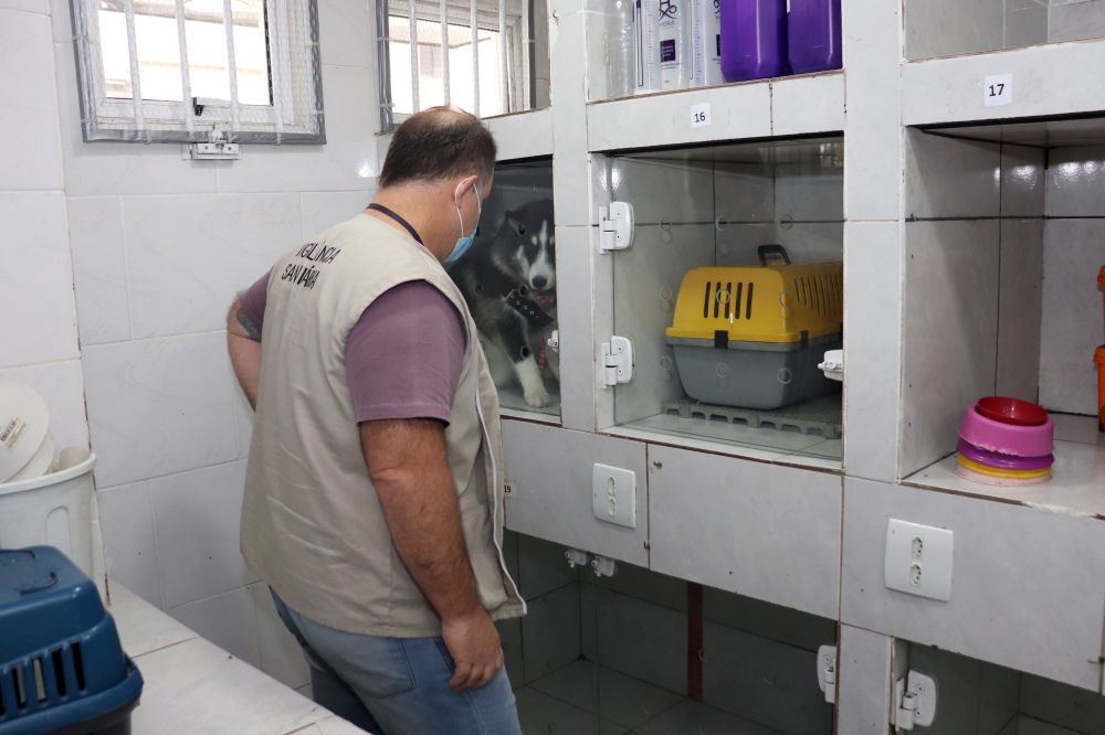 Vigilância Sanitária interdita clínica veterinária após constatar irregularidades