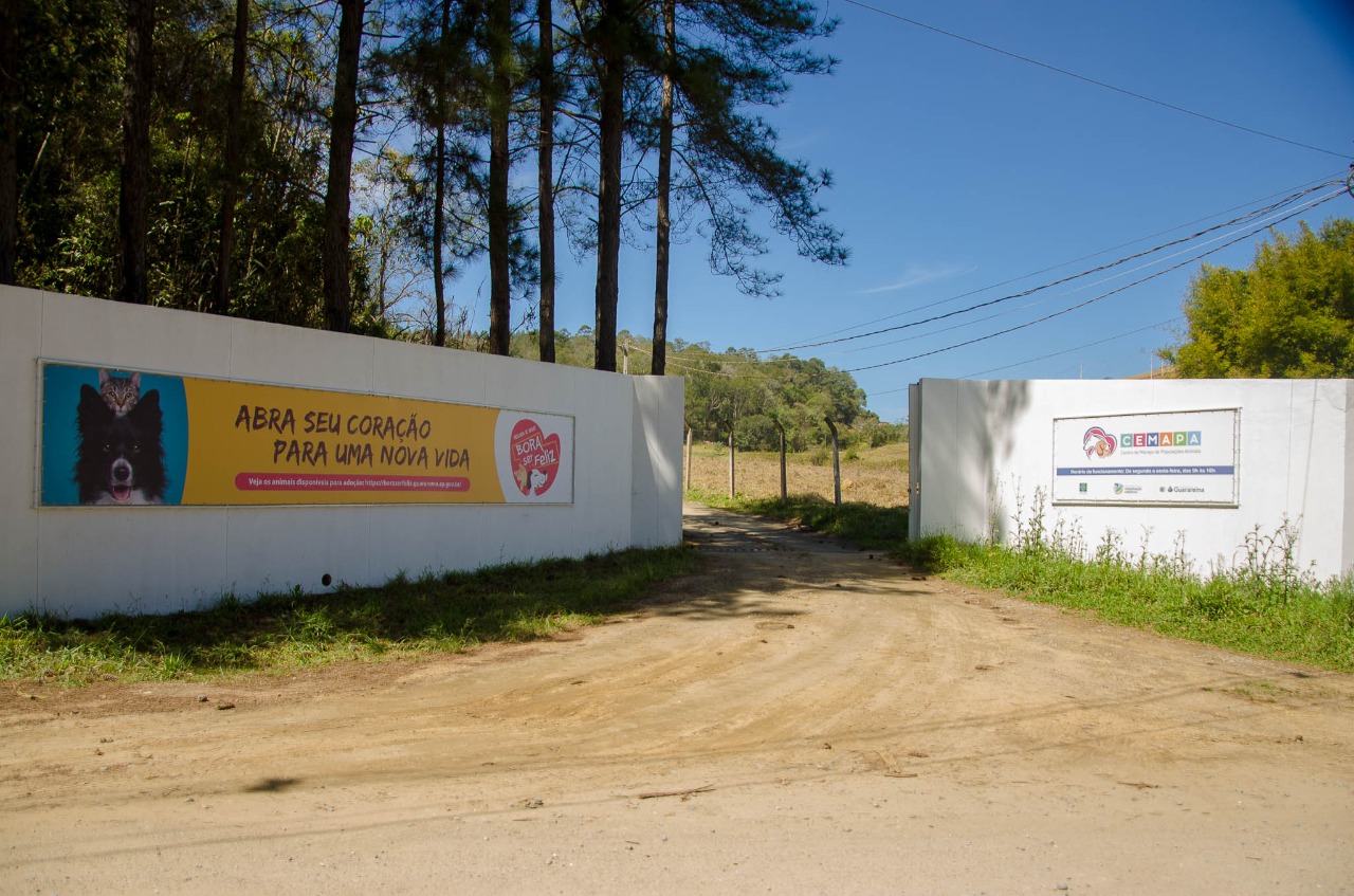 Prefeitura de Guararema realiza castração gratuita de cães e gatos