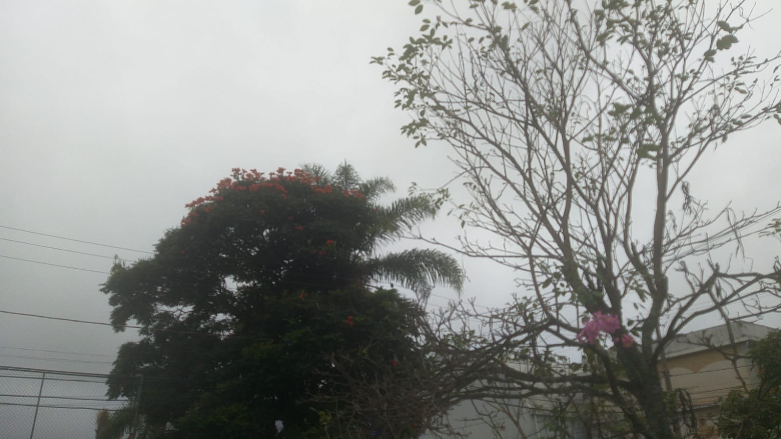 Após dias de chuva, Guararema tem previsão de céu nublado para a semana
