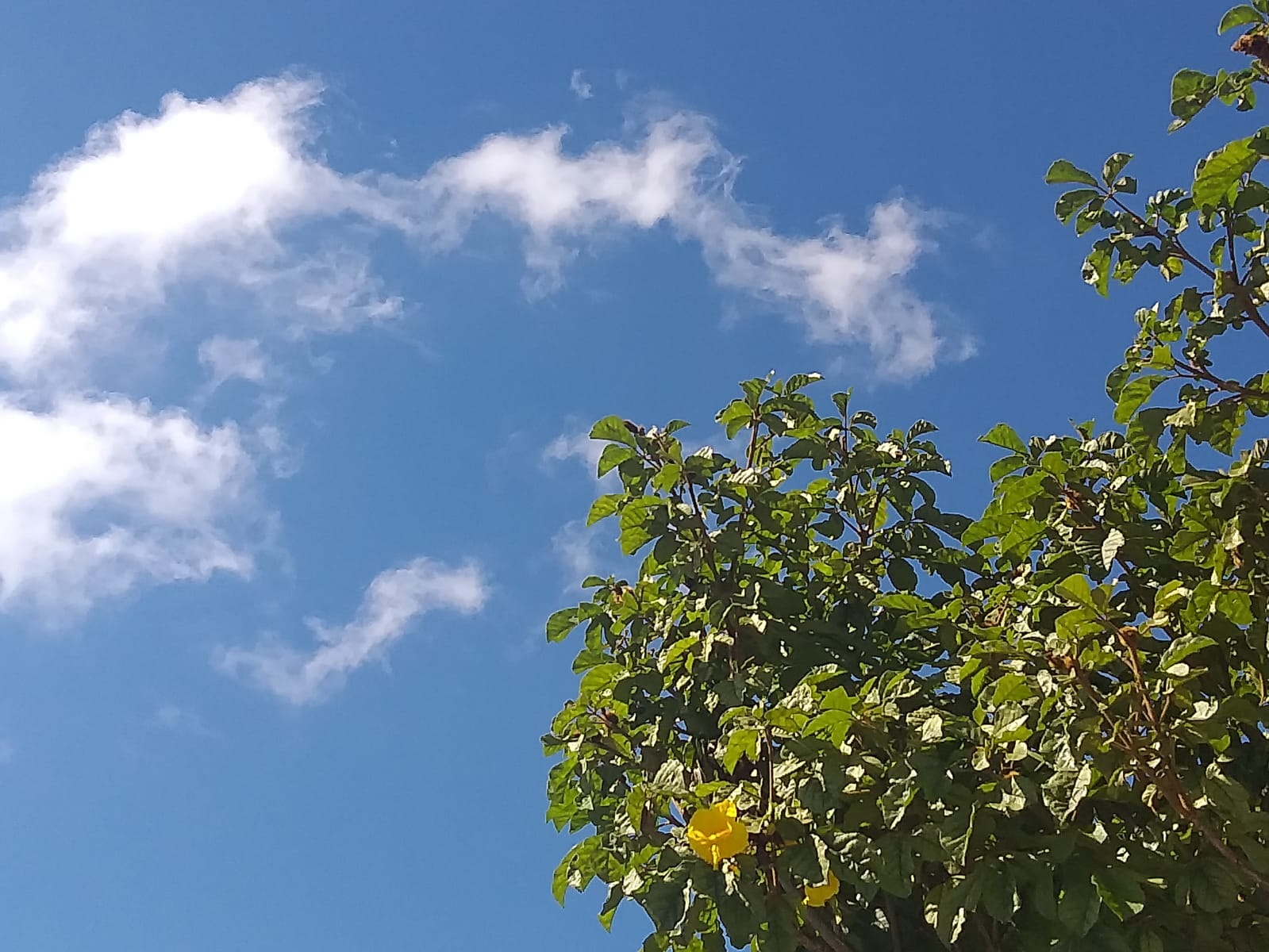 Previsão aponta aumento na temperatura em Guararema