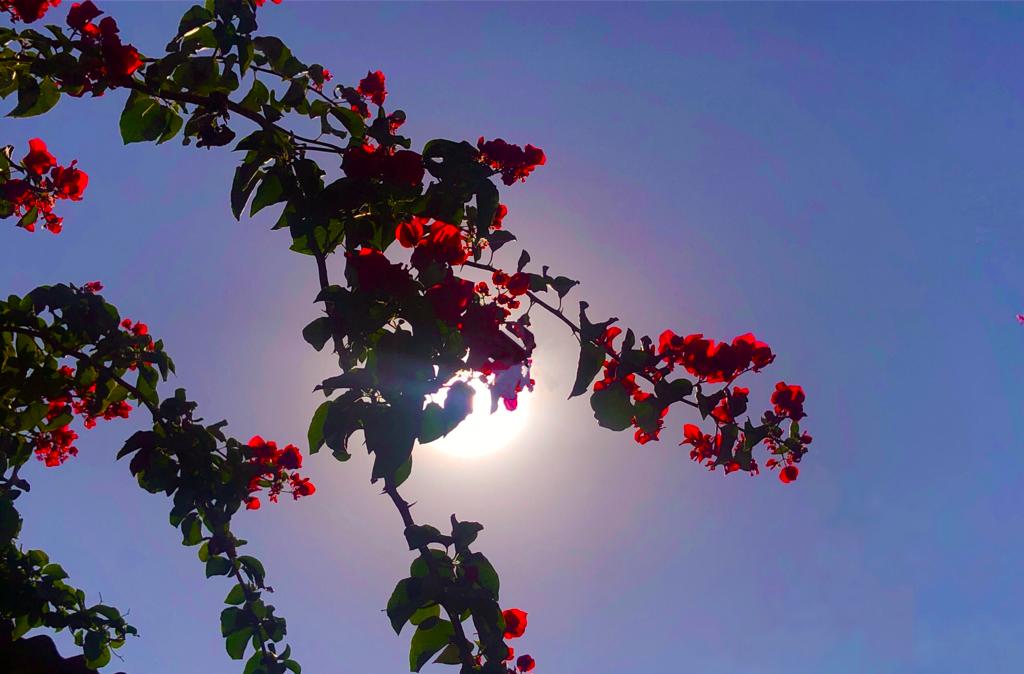 Altas temperaturas e tempo seco em Guararema e Mogi das Cruzes