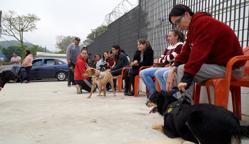 Núcleo de Bem Estar Animal fará cadastro para castração em Jundiapeba