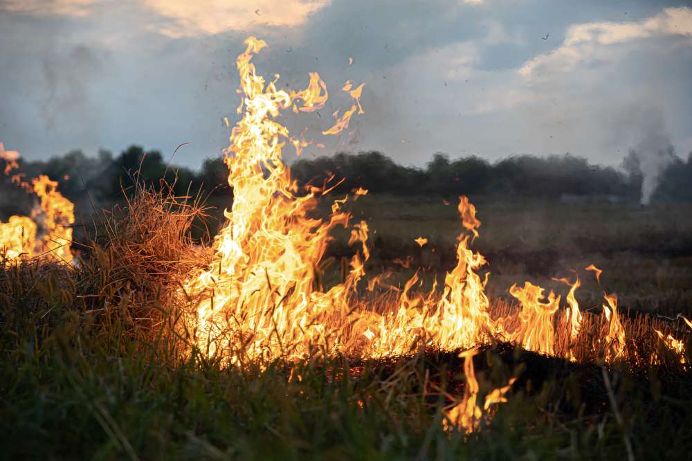 Incêndio toma conta na Rodovia Mogi-Bertioga