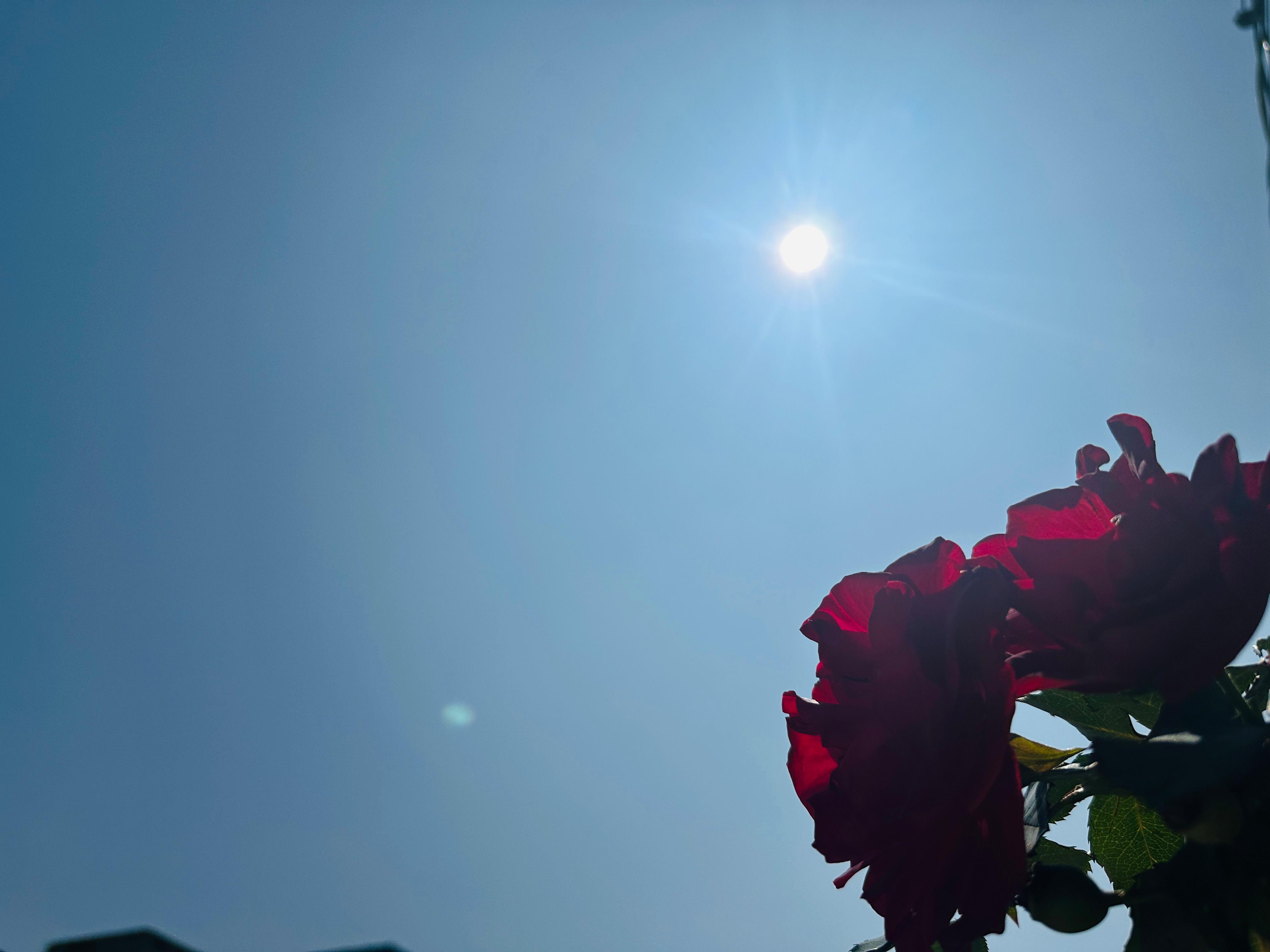  Semana com sol e possibilidade de chuva na sexta