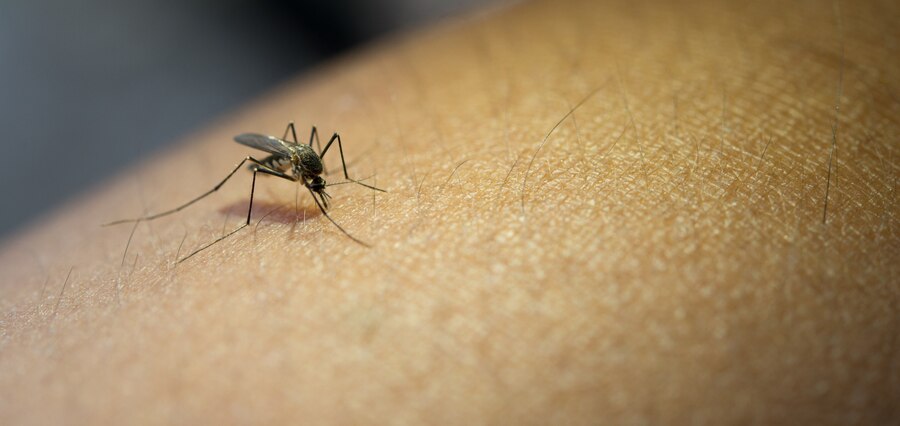 Mogi das Cruzes reforça cuidados contra a dengue no Dia de Finados