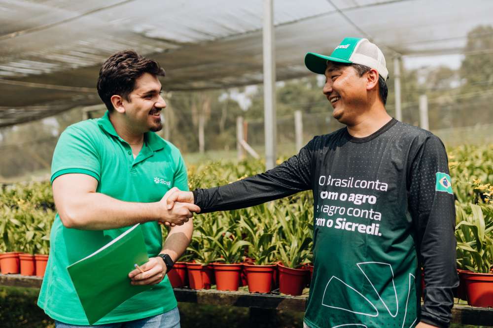 Família Tsuchida; de pequena produção à grande escala