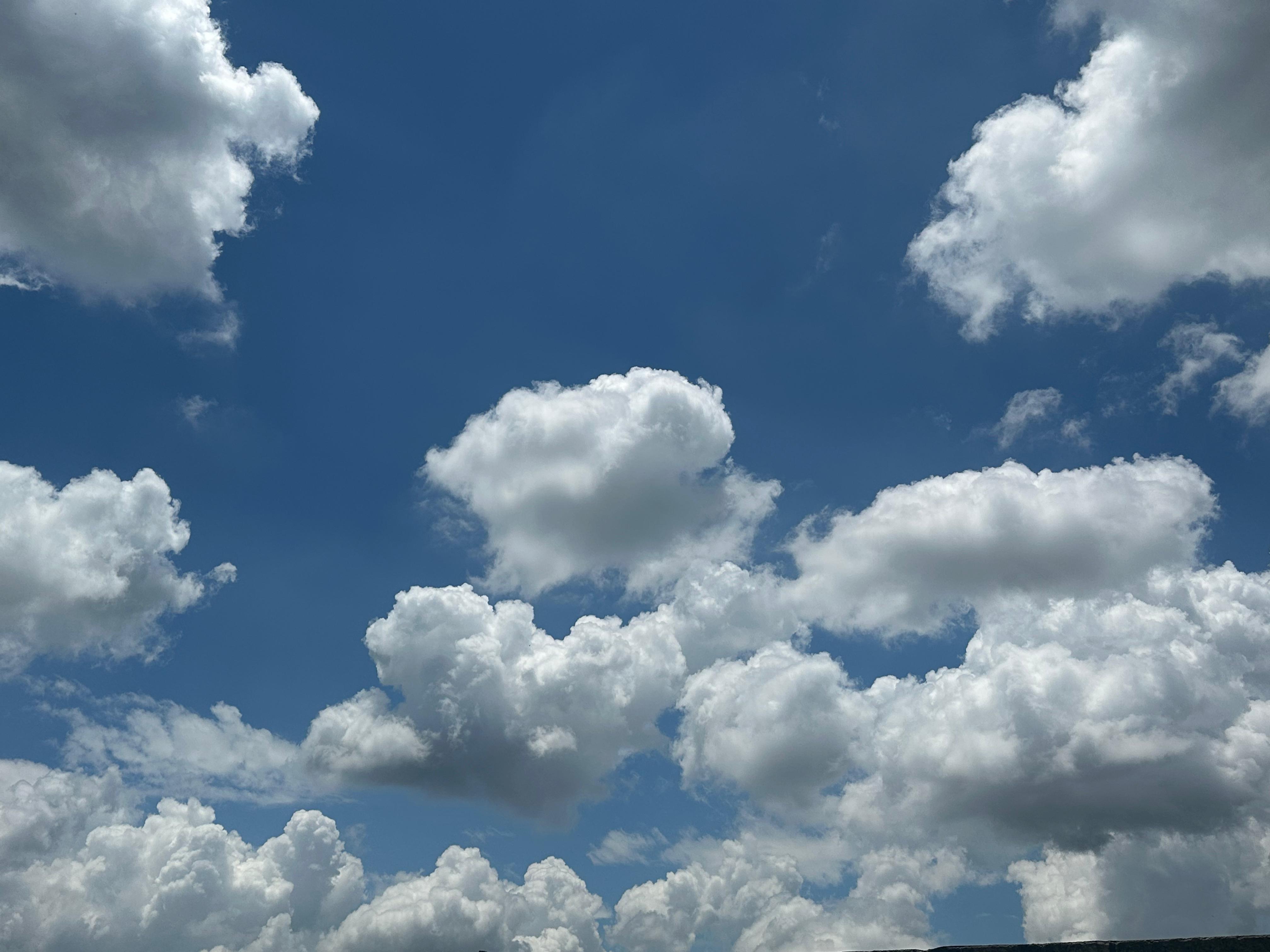 Semana de Ano Novo começa com chuvas e temperaturas elevadas em Mogi das Cruzes e Guararema