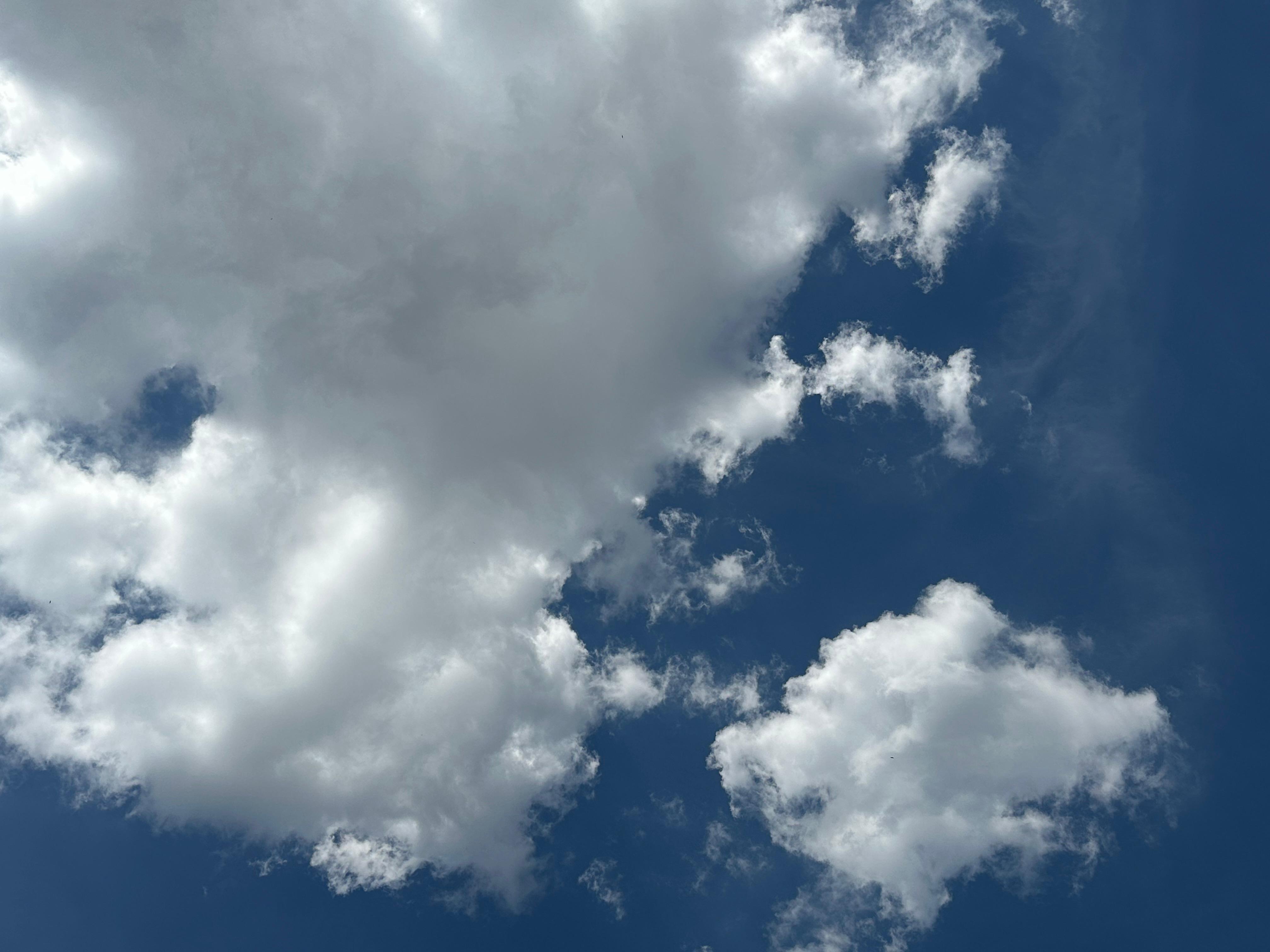 Semana começa com calor elevado e previsão de chuvas para sexta-feira