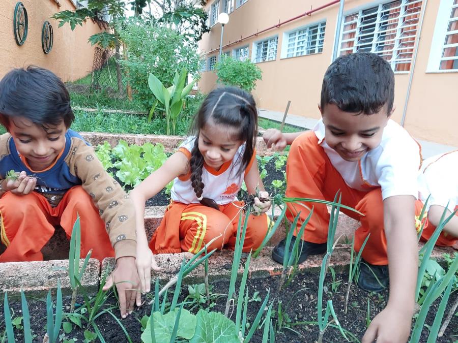 Projeto escolar em Guararema une empreendedorismo e educação ambiental