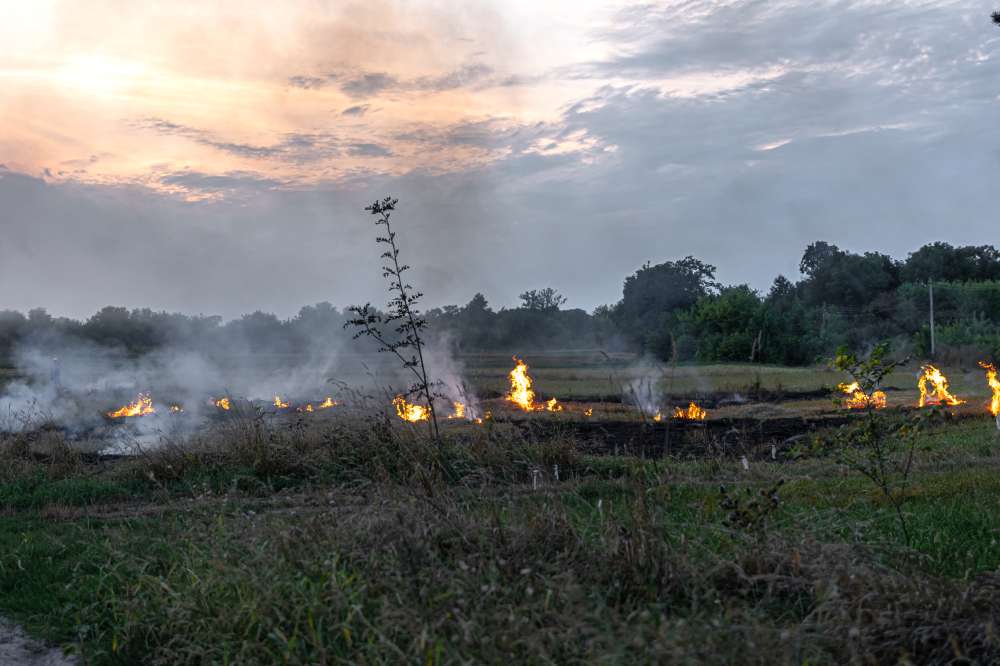 Guararema intensifica campanha contra crimes ambientais
