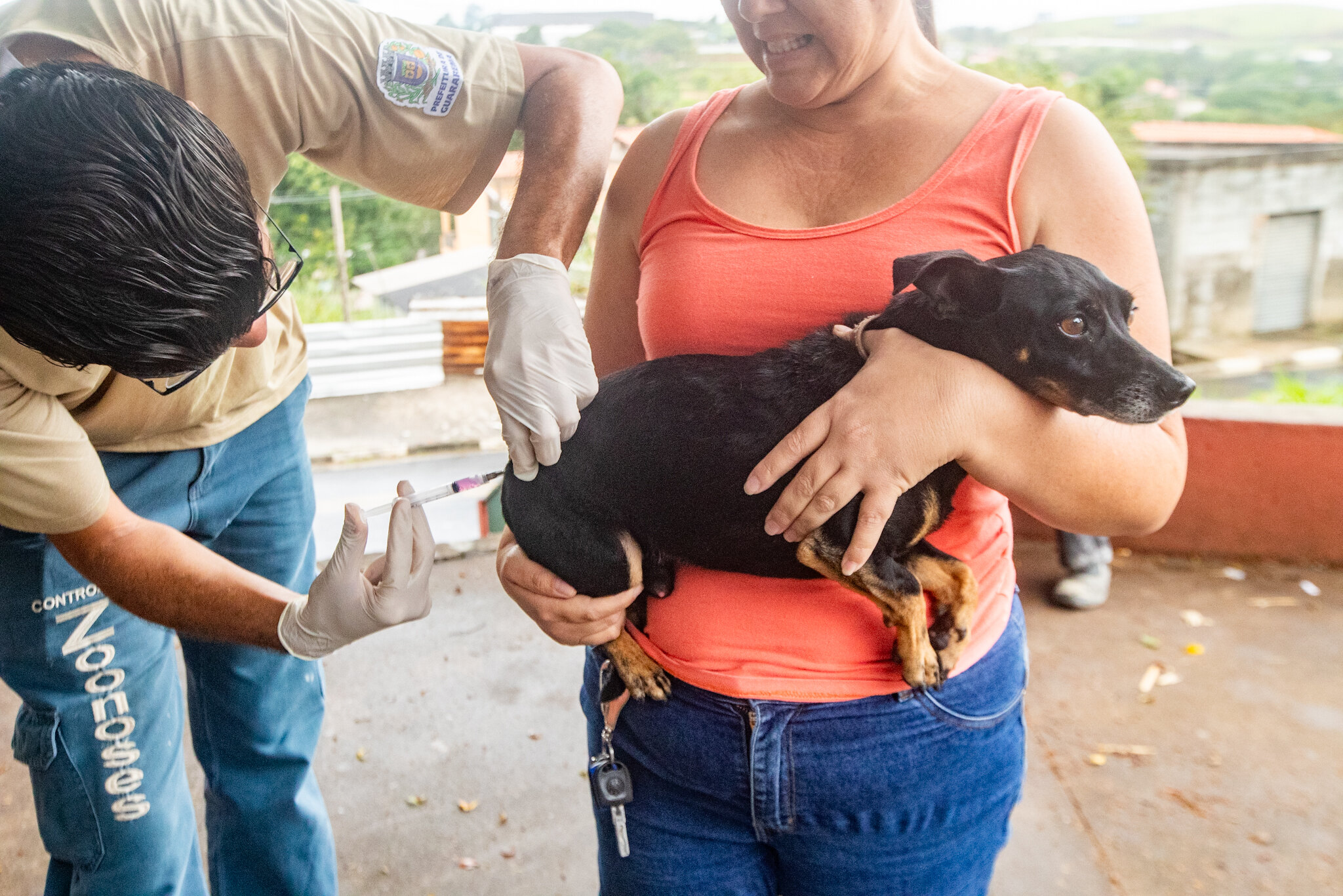 Guararema realiza vacinação antirrábica gratuita em quatro bairros neste mês de julho