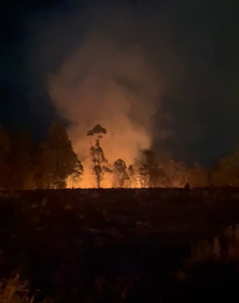 Incêndio atinge área da Fazenda Rodeio em Mogi das Cruzes neste domingo (17); fogo foi controlado