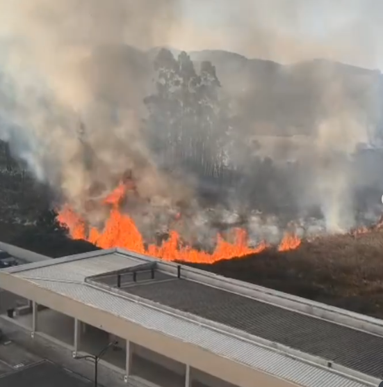 Incêndio atinge área de mata no Parque Centenário em Mogi das Cruzes