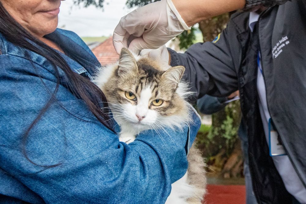 Guararema realiza nova etapa da vacinação antirrábica para cães e gatos