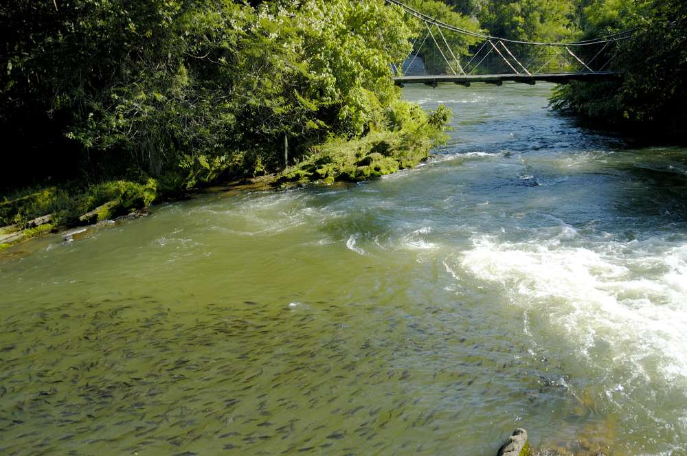 Guararema alerta para uso consciente da água durante período de calor intenso