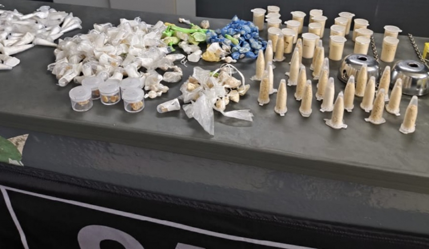 Cão do Canil da GCM de Mogi encontra sacola com quase 700 porções de drogas em mata