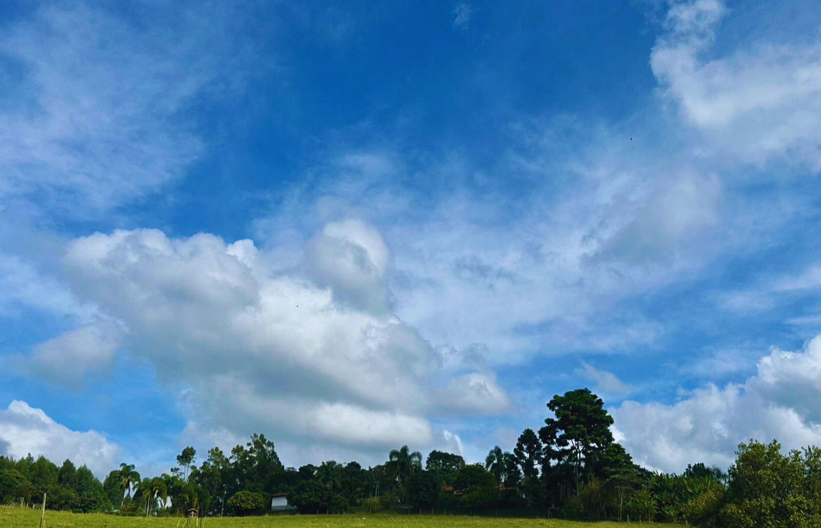 Semana terá sol, calor e pancadas de chuva em Mogi das Cruzes e Guararema