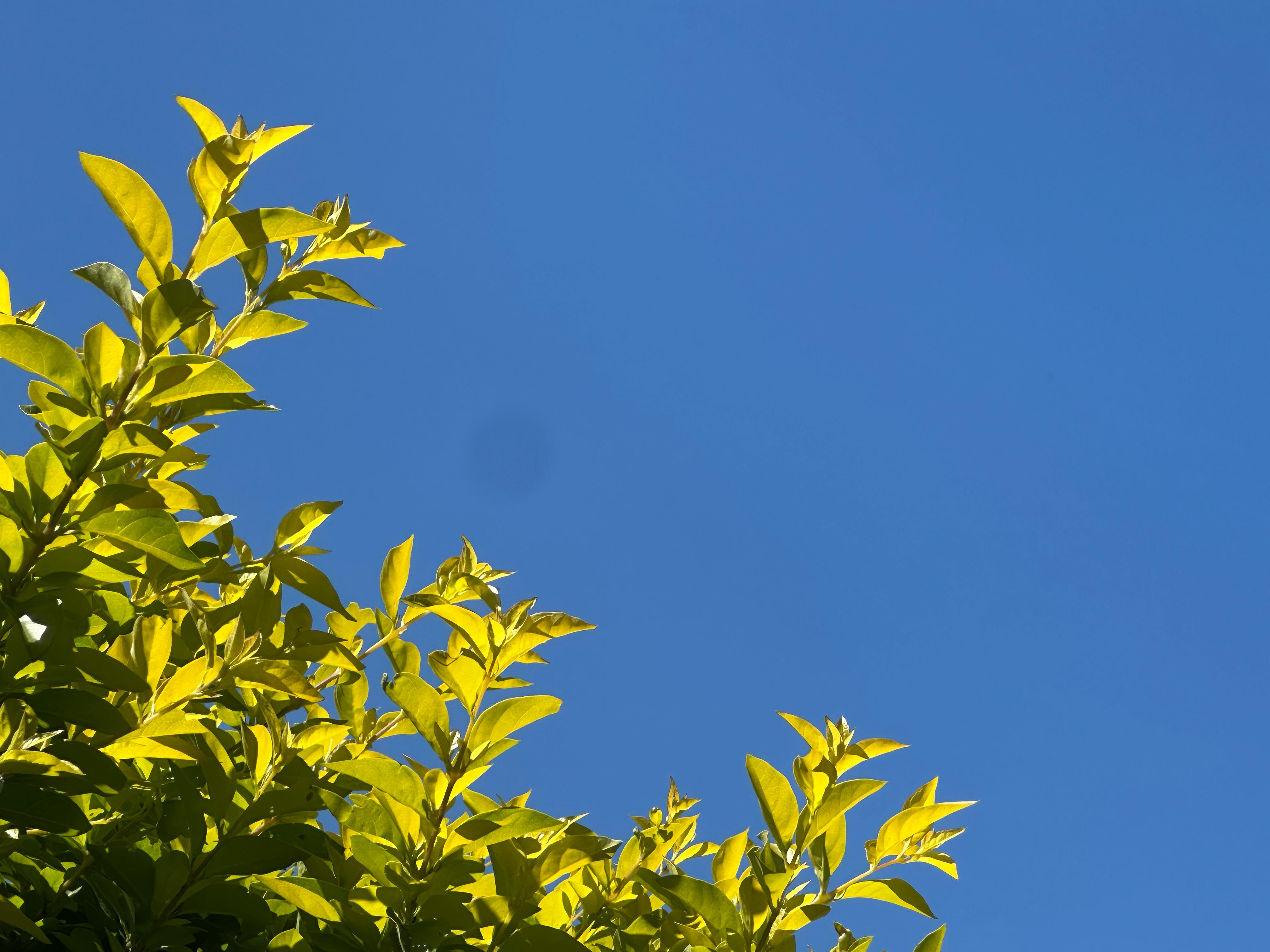 Semana começa com instabilidade e termina com sol forte em Mogi das Cruzes e Guararema